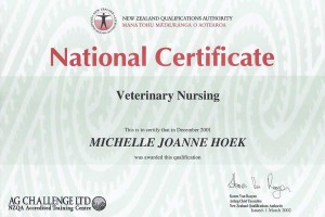 Vet Nursing - Level 5